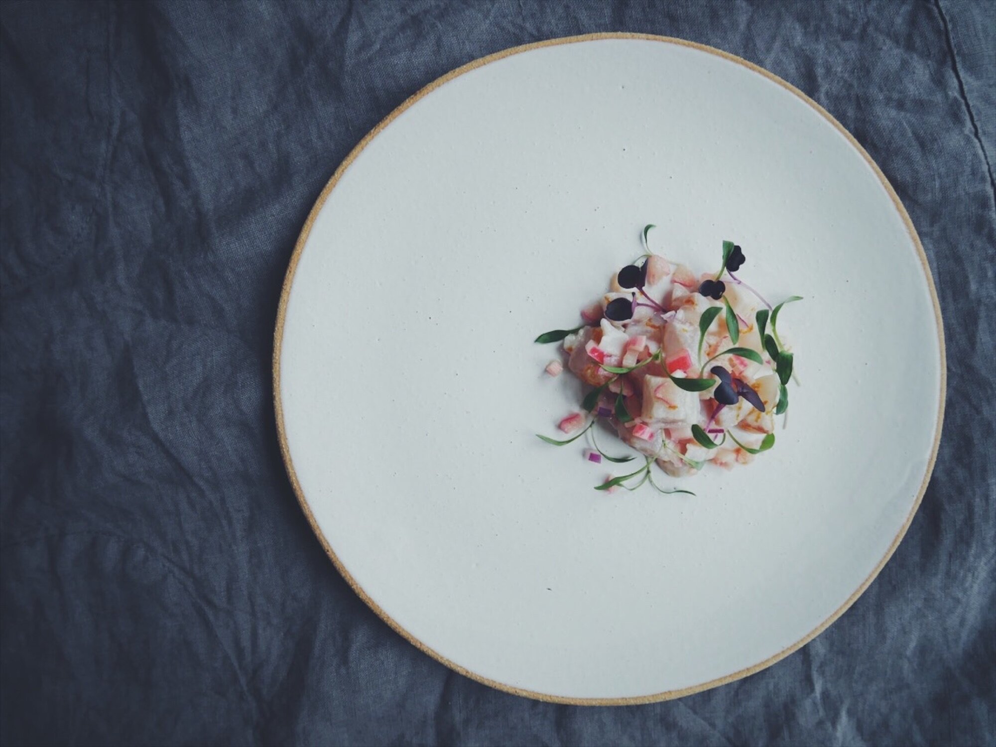 Forced Rhubarb & Seville Orange Ceviche