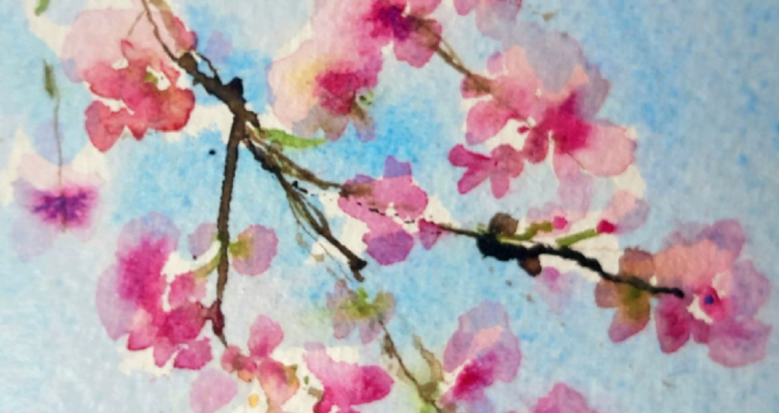 Course: Watercolour Workshop with Jo Dowers