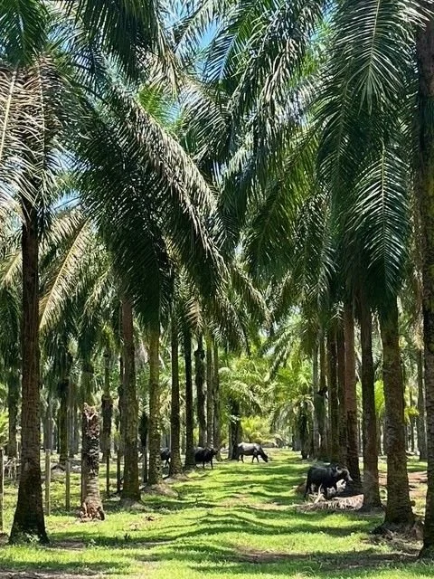 Costa Rica: Sustainability &amp; Food