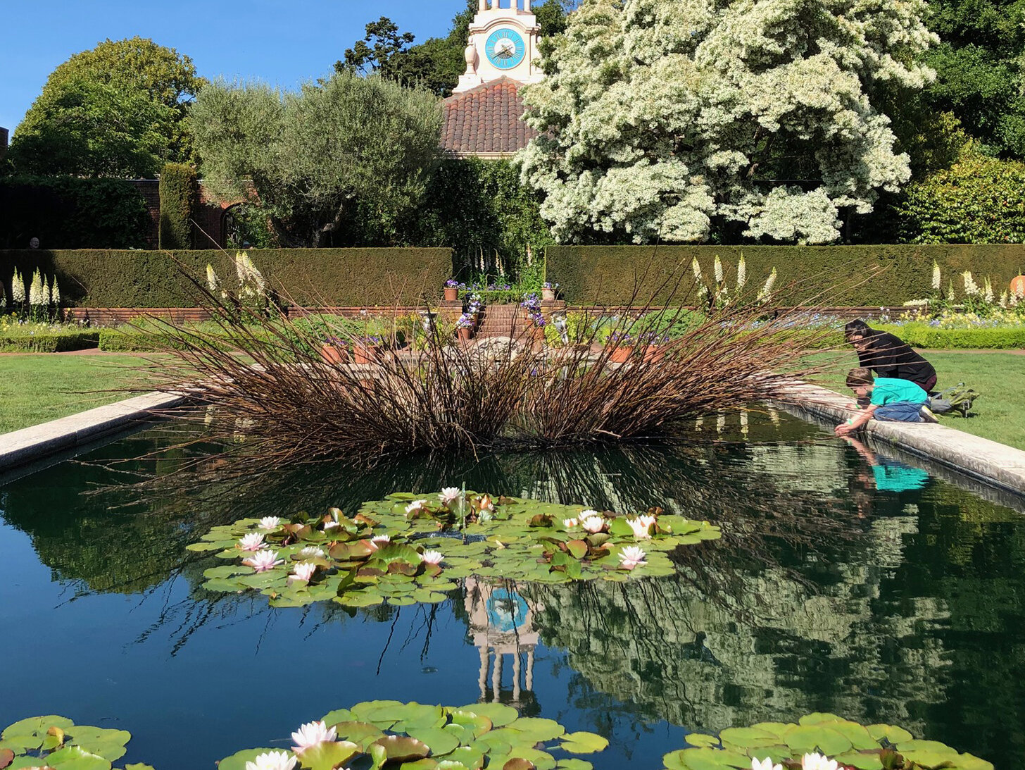 WGSmith - Sunken Pond Nest -Filoli House and Garden.jpg