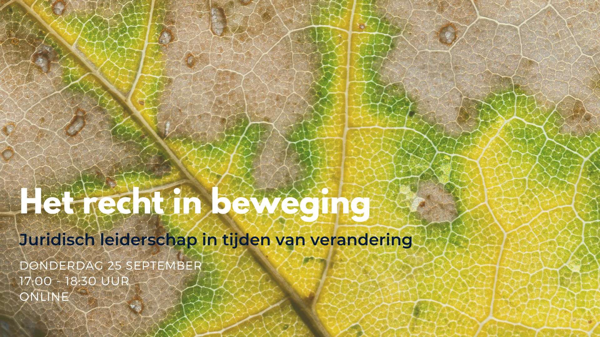 Het recht in beweging: juridisch leiderschap in tijden van verandering