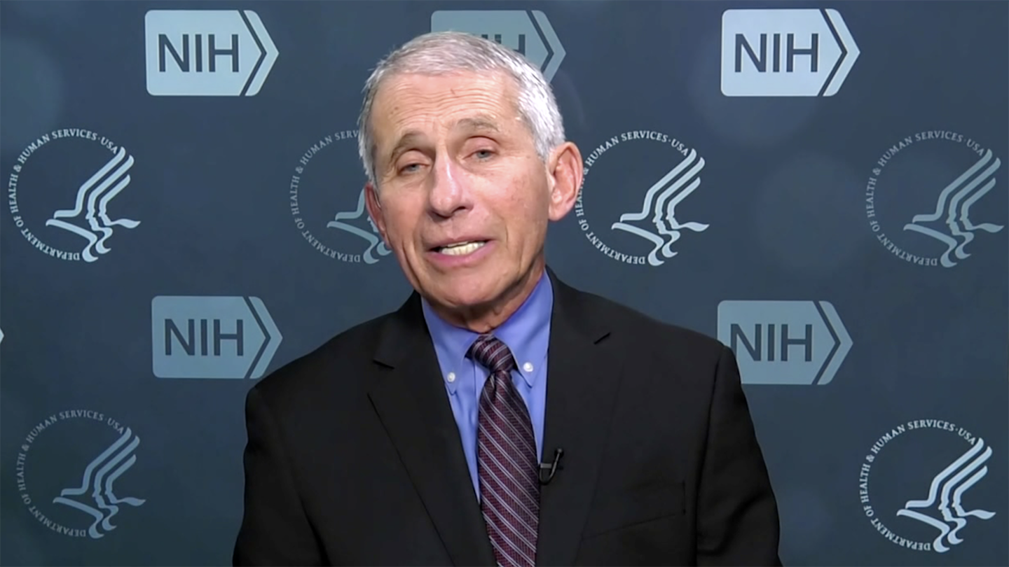 Please Kill Yourself, Dr. Fauci