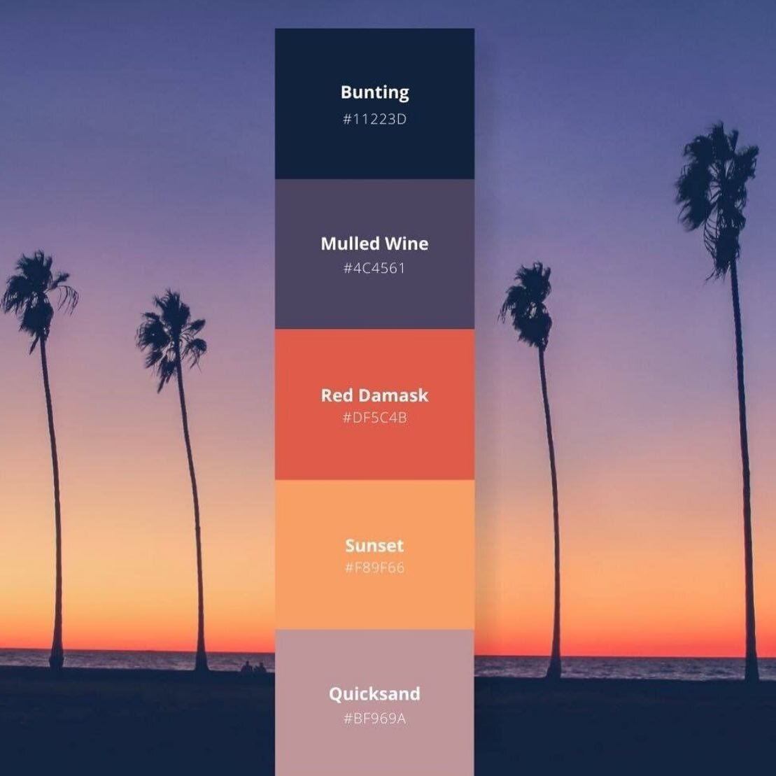 Some #calivibes from @canva. Loving this color palette ☀️🌴
#designinspiration 
.
.
.
.
.
.
#websitedesign #websitedesigner #websitedesignerforwomen #smallbusinesswebsitedesigner