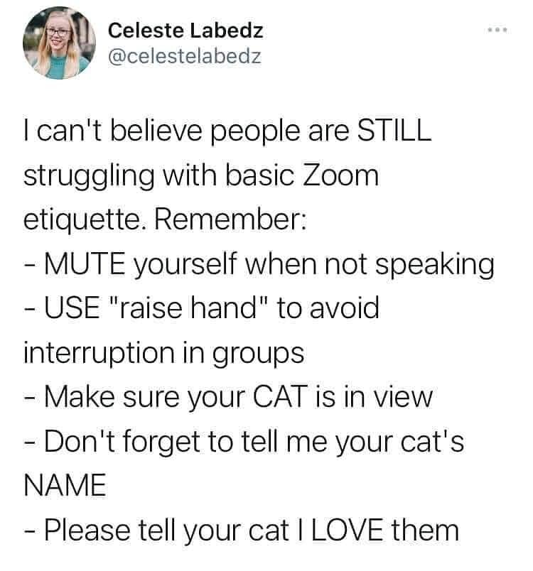 Today has been exhausting, so no long post, let's just do a quick review of how to behave on Zoom. 

Pay attention - pop quiz later😂

#finerootsmarketing #zoom #onlinelife #memes #lovelocal #locallyowned #local #cats #kitty  #catsofinstagram #laugh 