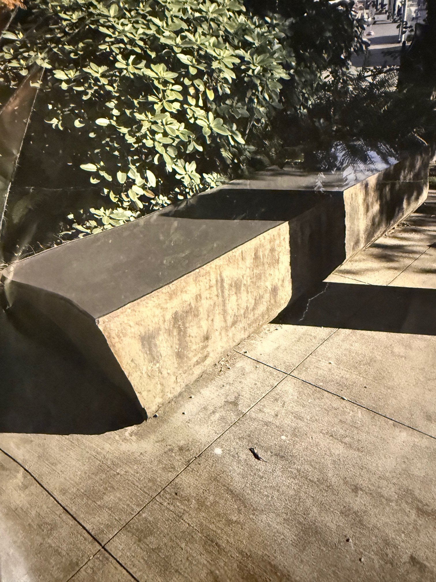 Stay Tuned for Bench Announcement