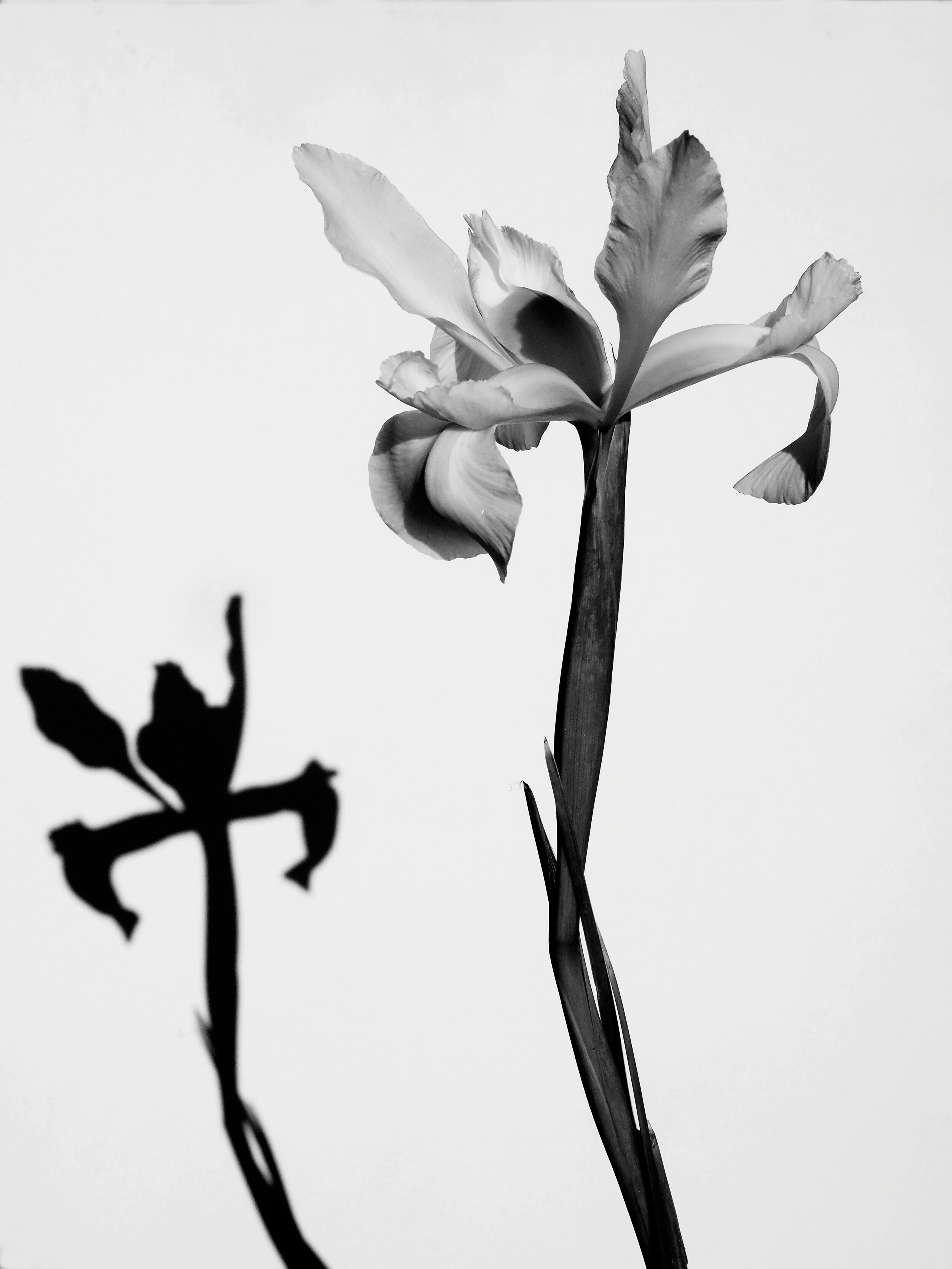 P1010004_Fotor 3.jpg