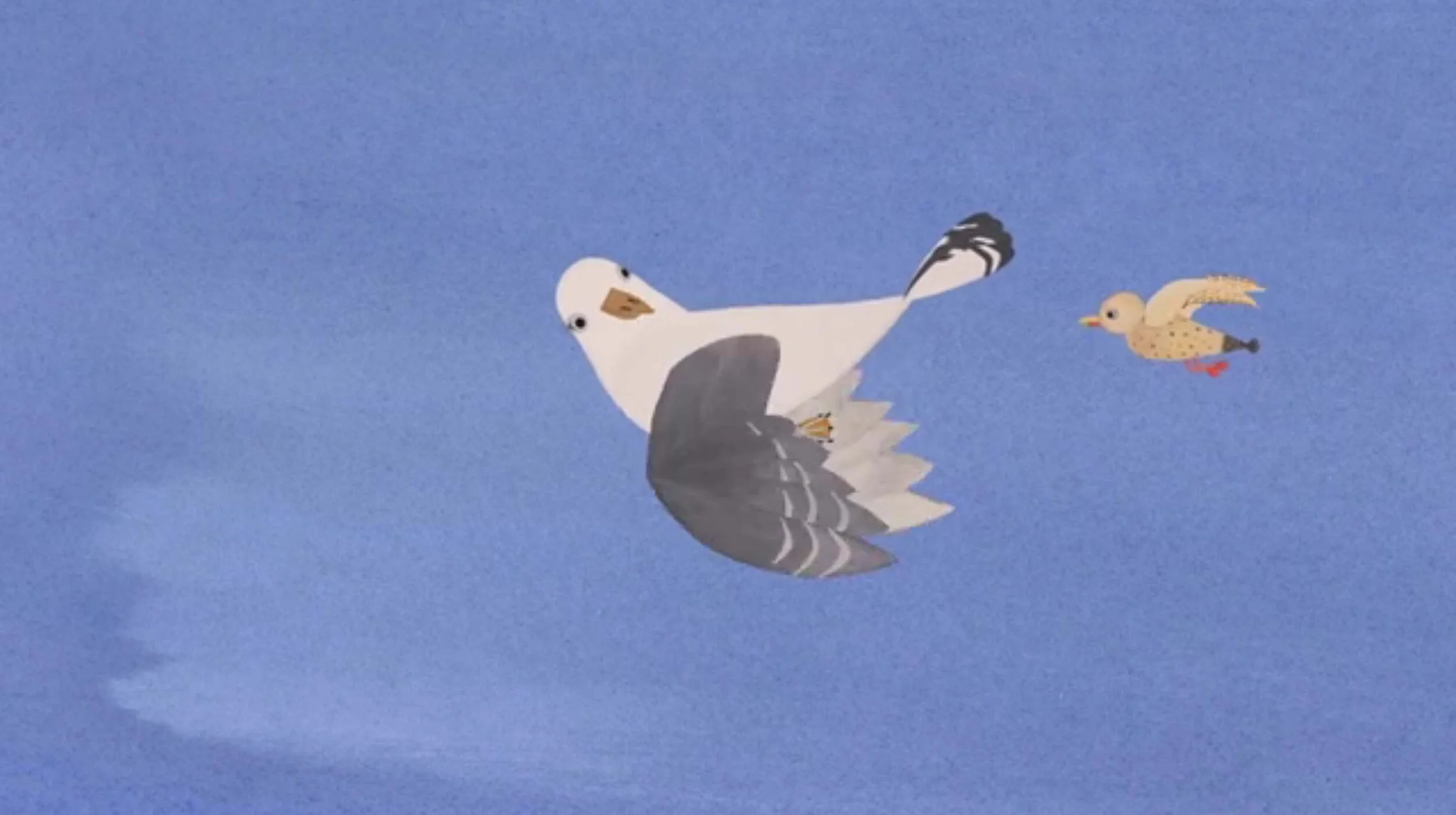 Birds