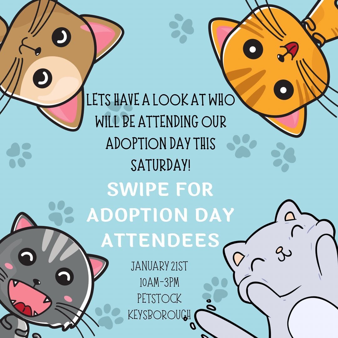 Swipe to see all of the furry faces who will be at our adoption day this Saturday! 

In case you missed it, we will be at Petstock in Keysborough from 10am until 3pm this Saturday the 21st.

This won&rsquo;t be a first in best case situation, we will