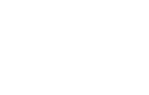 History and Theory