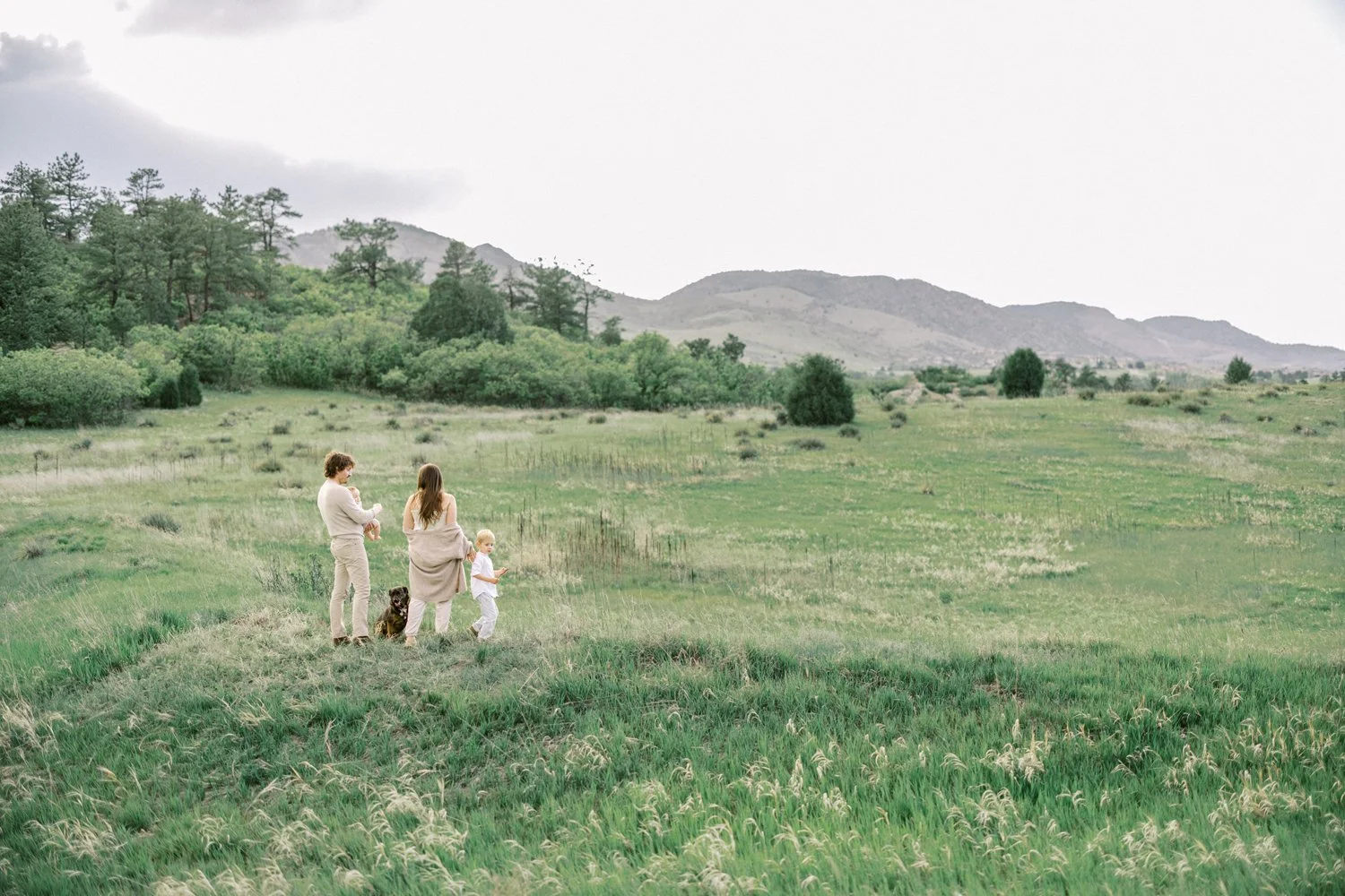 Family walking together through a wide green Colorado field with foothills in the distance.