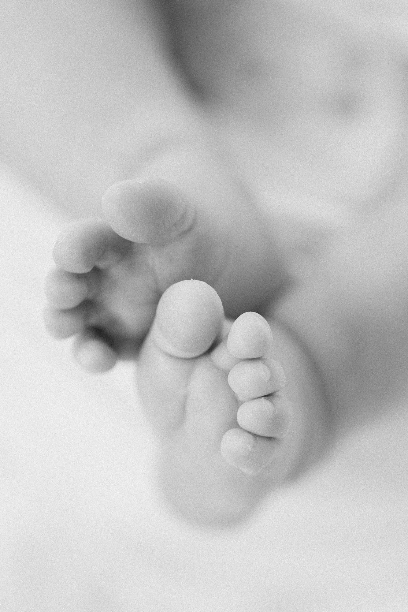 Close-up detail of a newborn baby's tiny feet resting together during a newborn photography session.