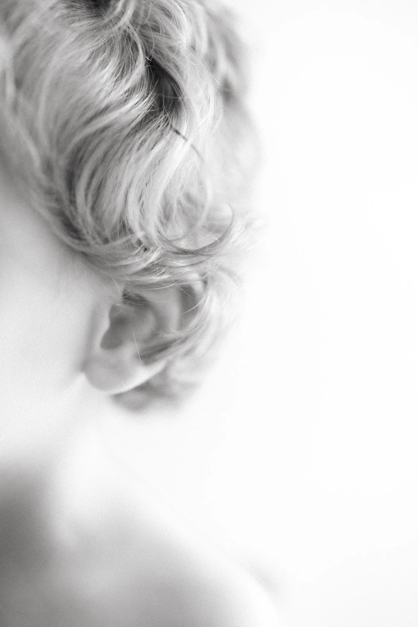 Artistic close-up detail of a mother's hair and shoulder during a studio newborn session.