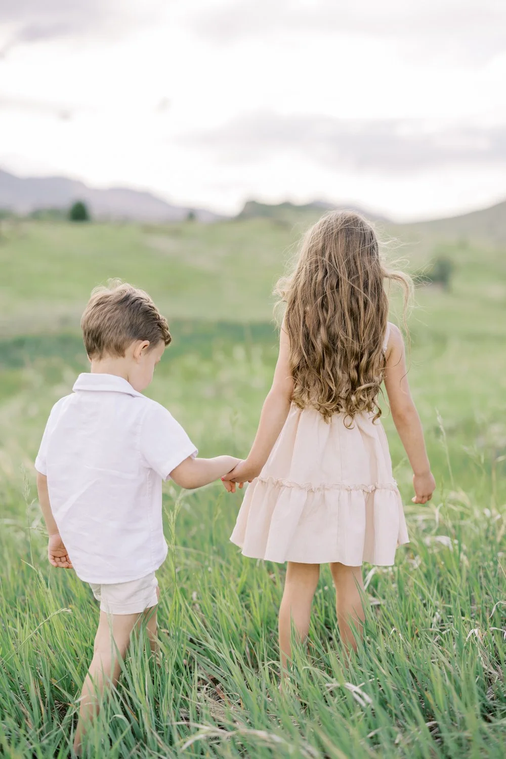 Siblings walking hand in hand through a green pasture