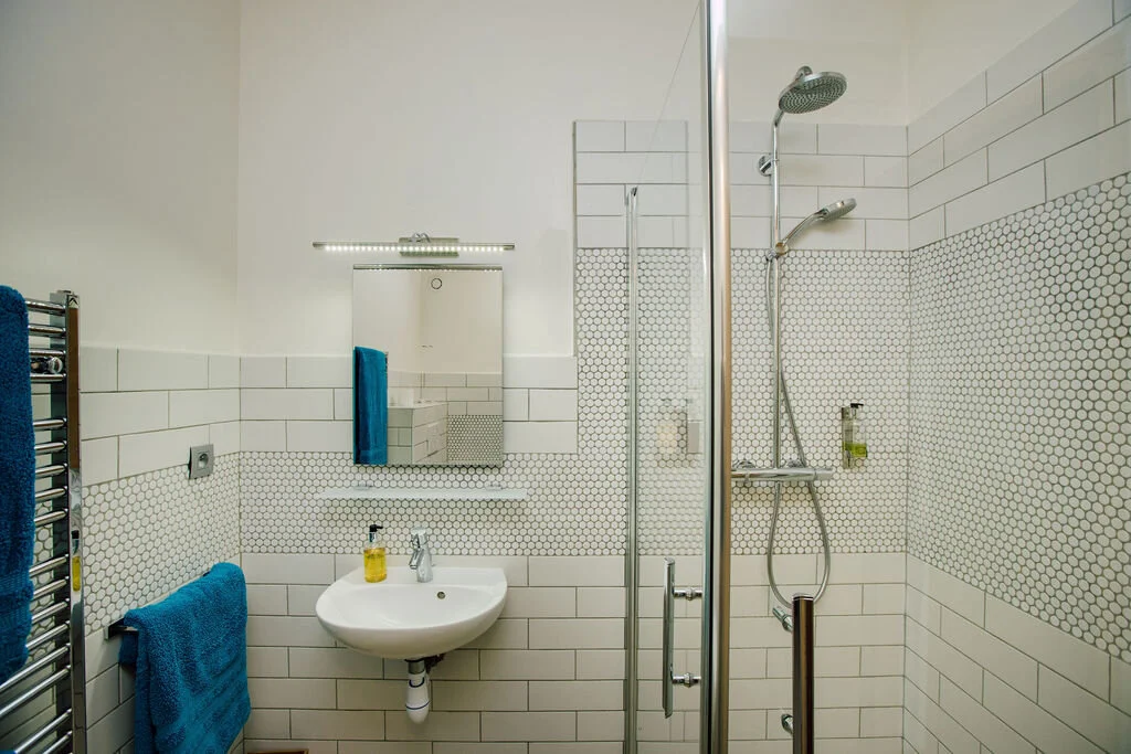 Bed5 ensuite.jpg