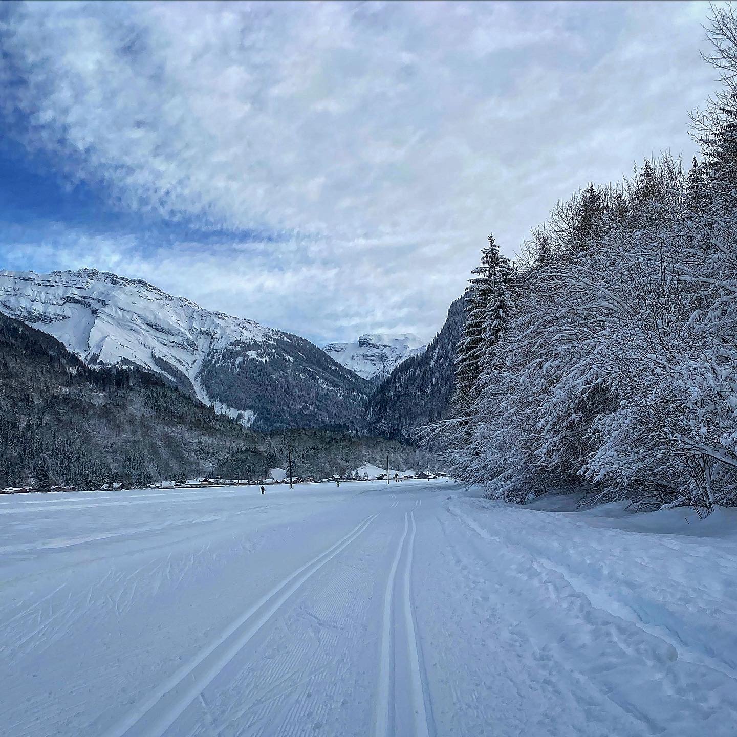 ski de fond vallons.jpg