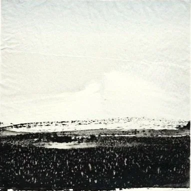 71604FA6-25E3-4026-AB32-6B84B8548368_1_105_c.jpg