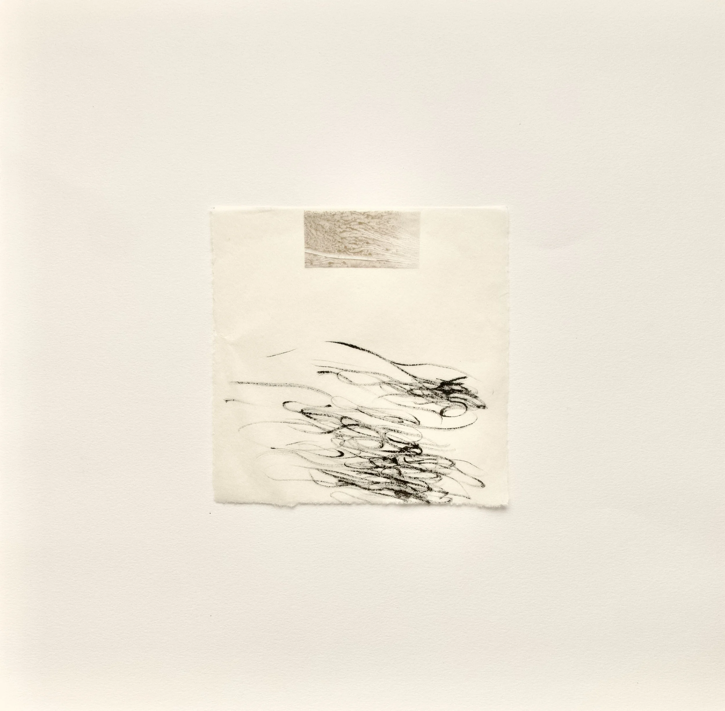 mono print and chin cole, 2021