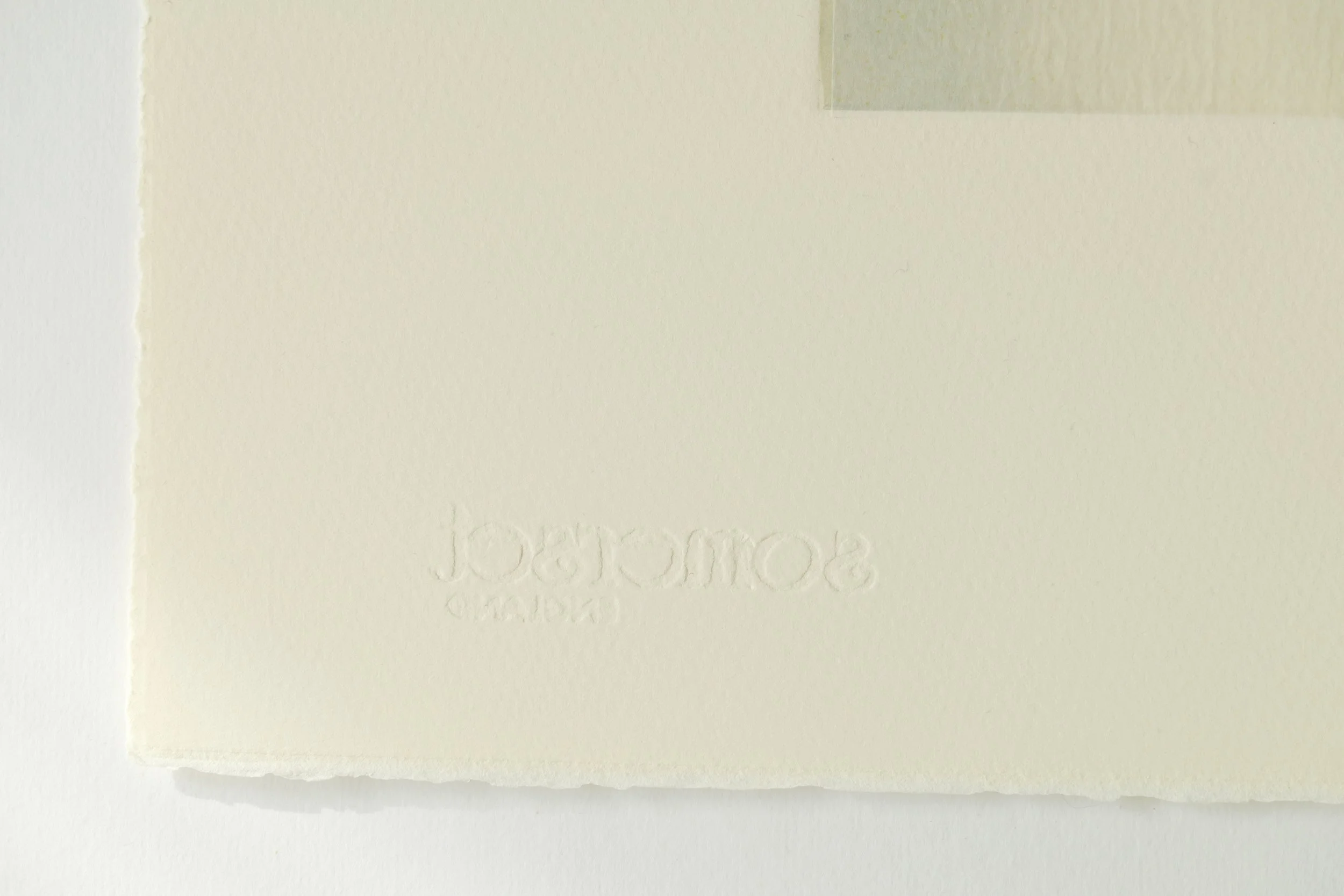 P1148544.jpg