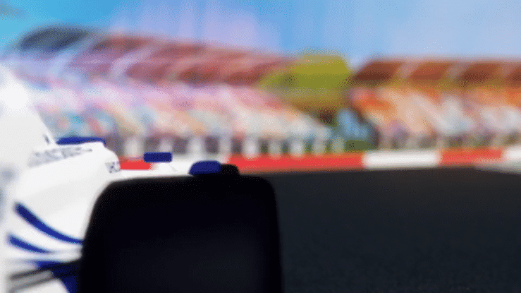 Yellow Lab x United Healthcare