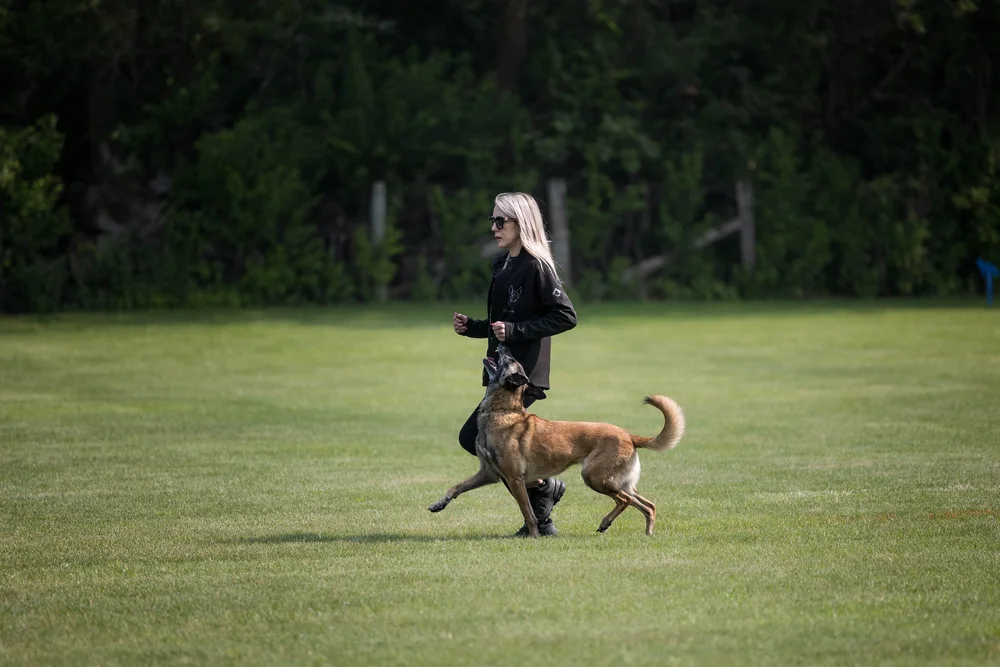 Eternal K9 | Building Lasting Foundations