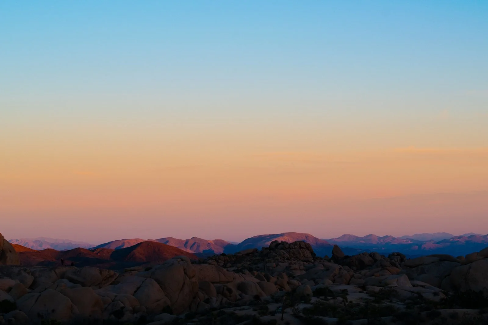 Desert Spectrum