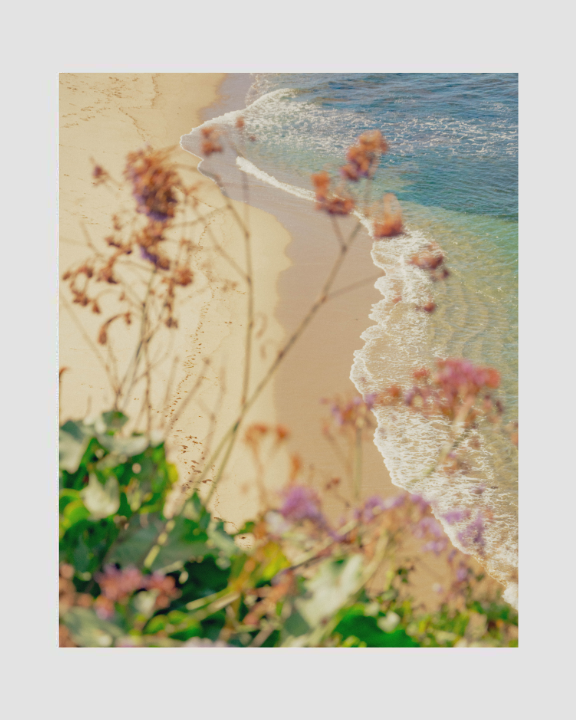Ocean Blooms