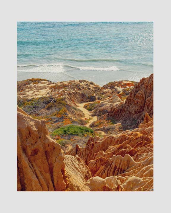 To the Ocean