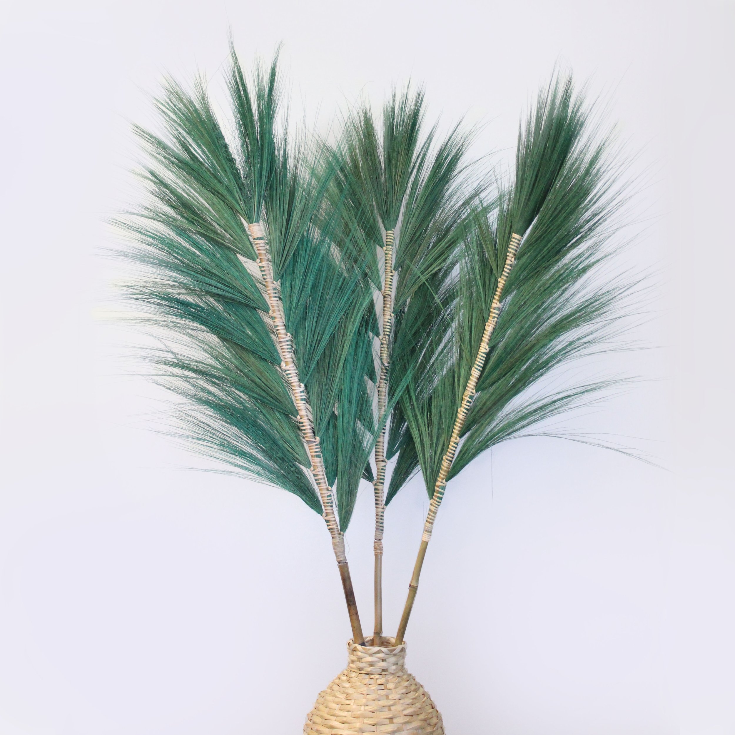 pampas reiki divine (6).jpeg