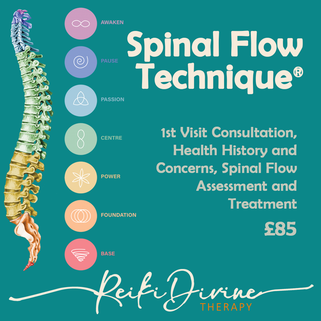 SpinalFlow Asssesment.png