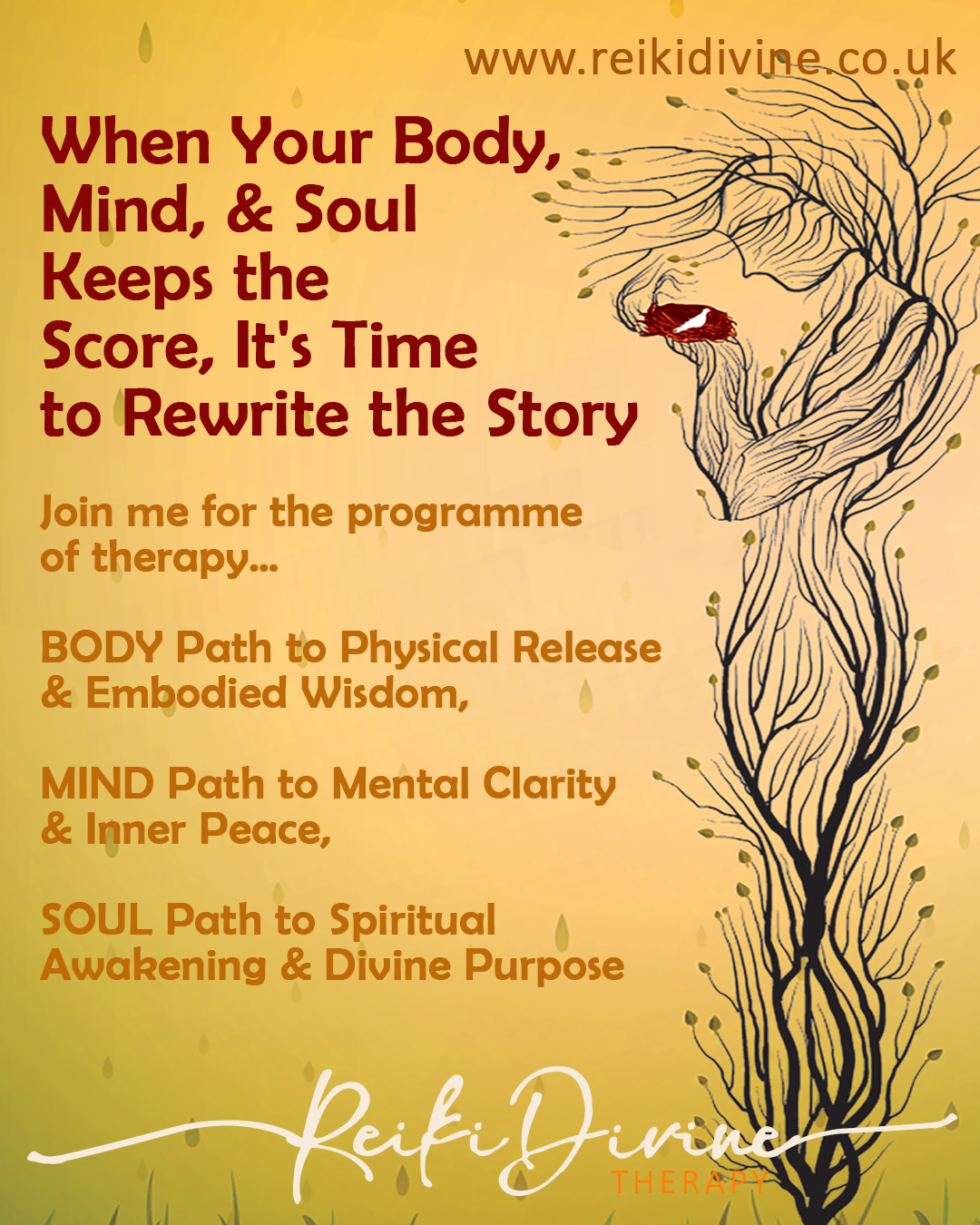 Reiki Divine Healing Mind Body Soul Programme