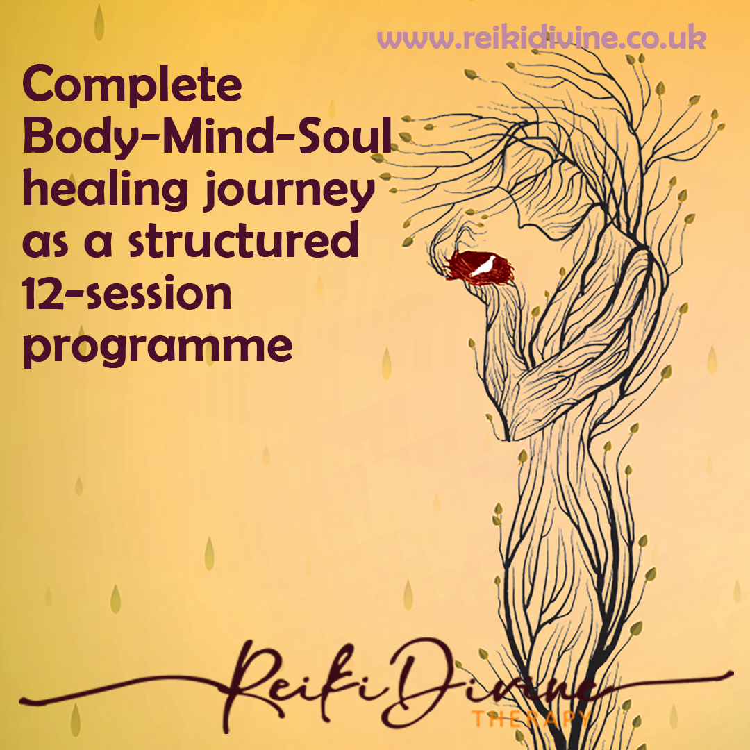 Reiki Divine Healing Mind Body Soul Programme