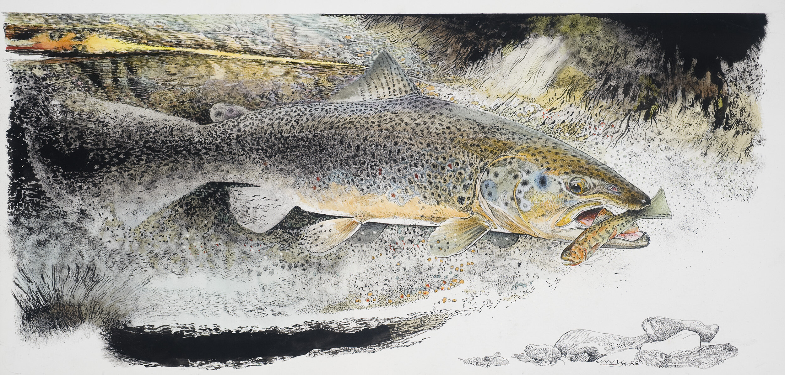 Brown Trout