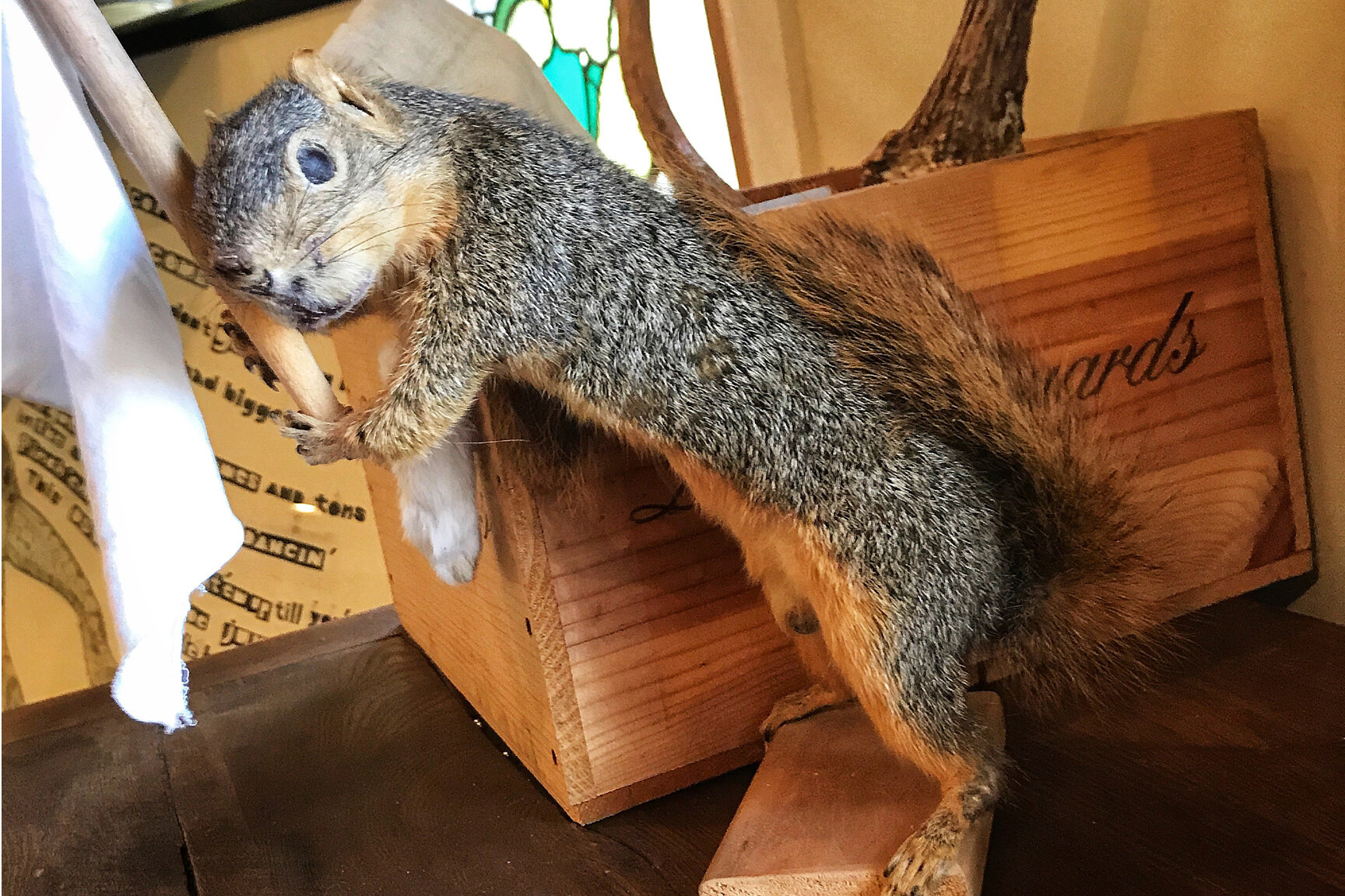   Squirrels and Unruh were enemies. This squirrel was a tribute to those that surrendered!  