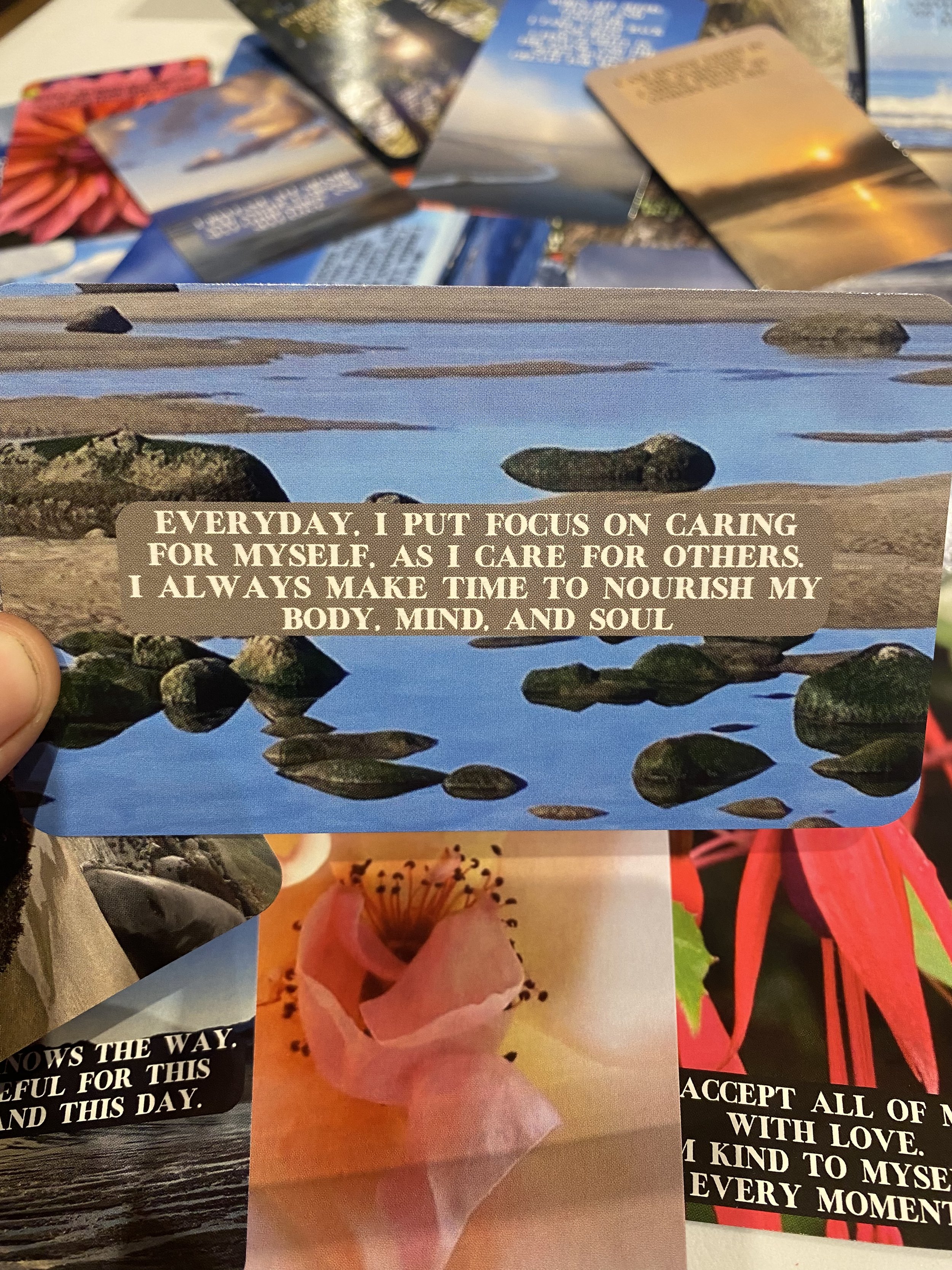 4B7C9429-4C12-4FF5-9E4C-72F4BEB943CB.jpeg