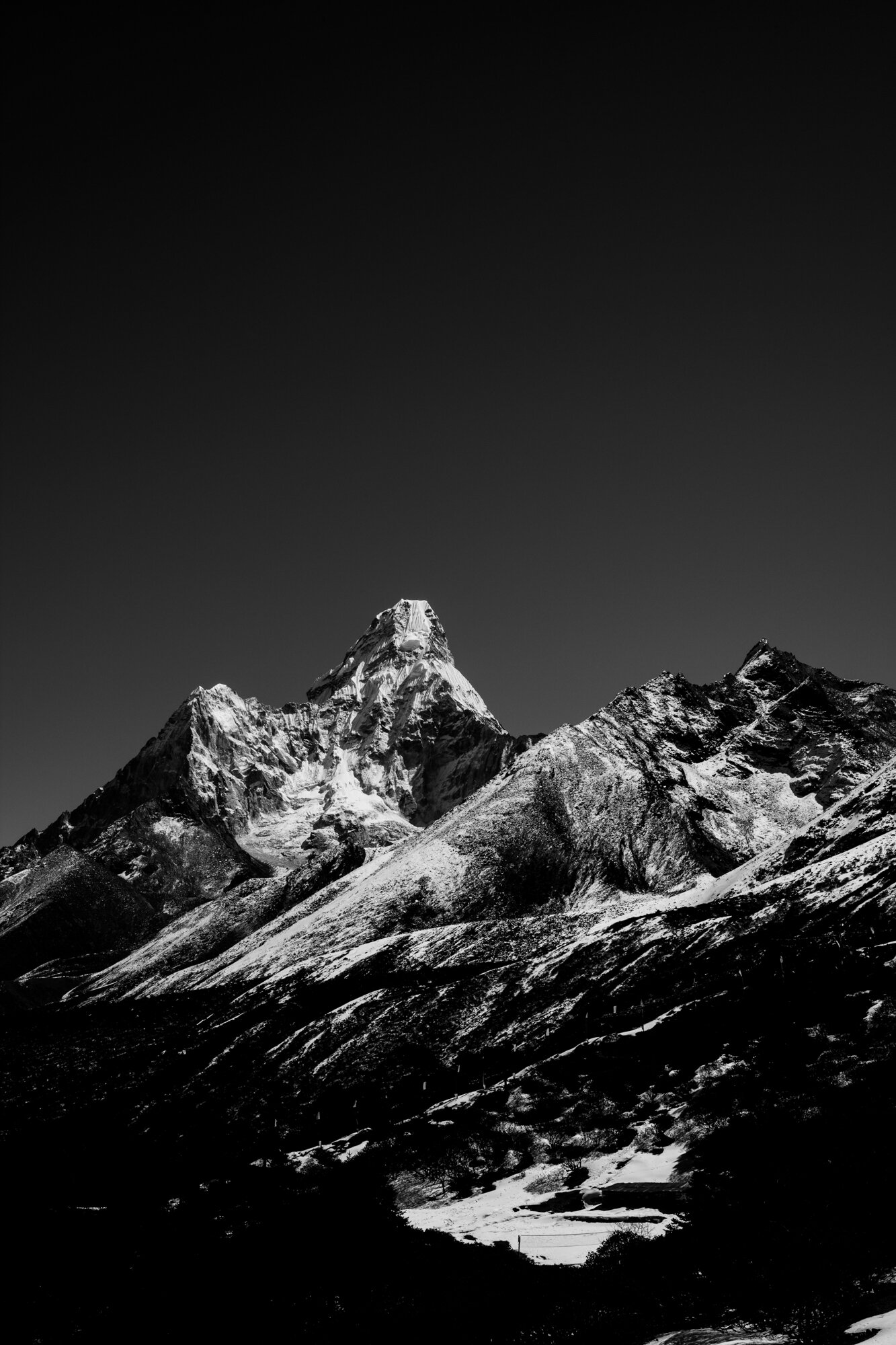 ASANA: Into the Himalayas — LSI - Leica Society International