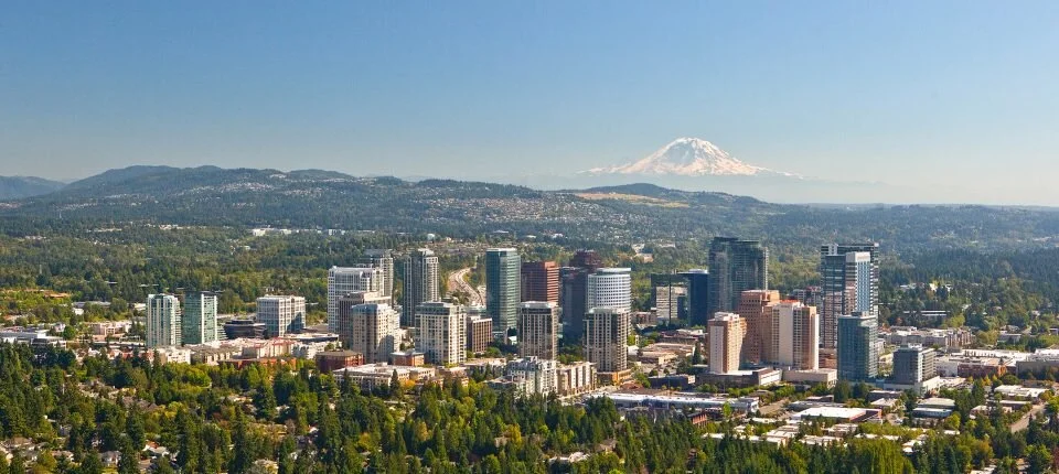 Bellevue-Skyline-960x430 (1).jpg
