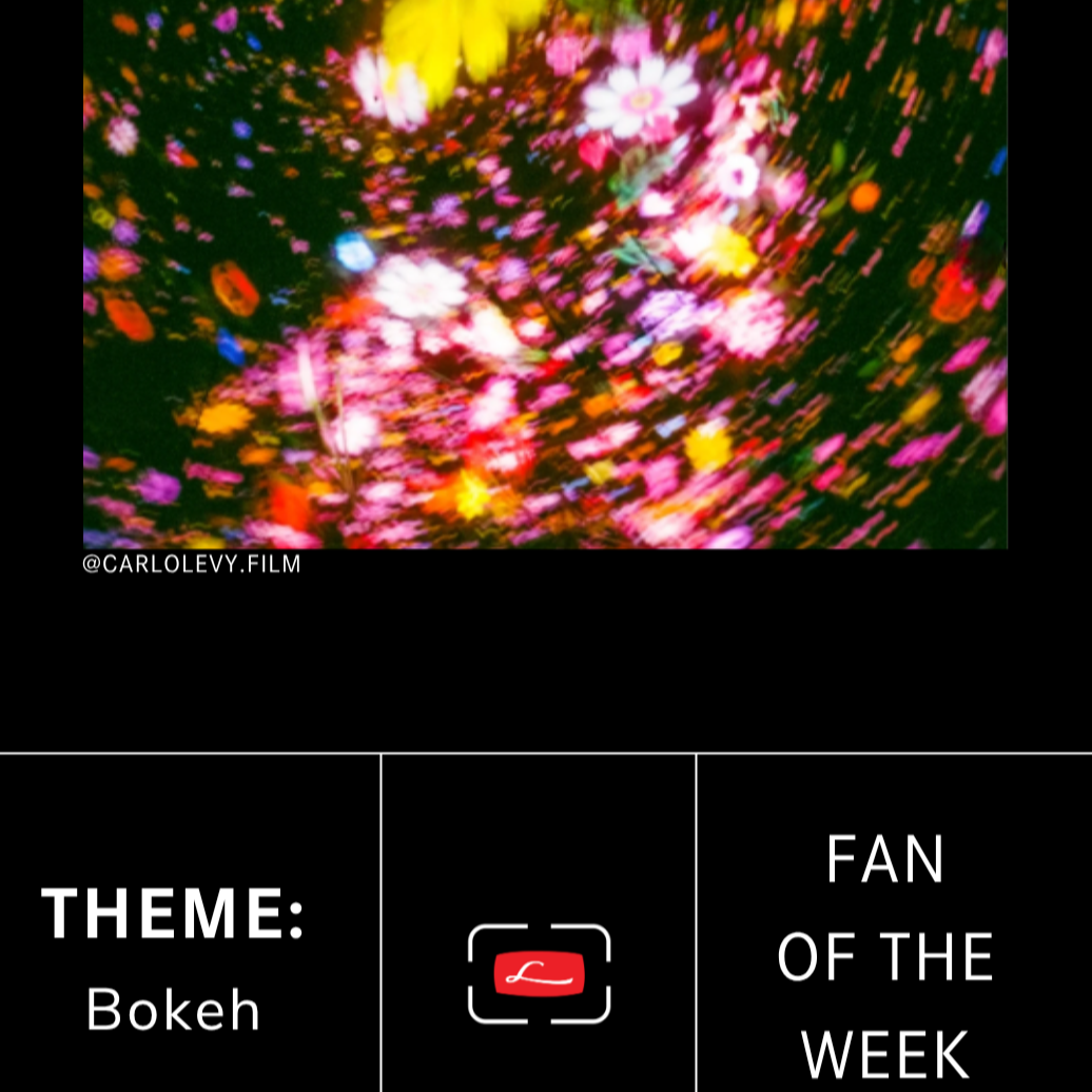 November 11, 2025 | Carlo Levy