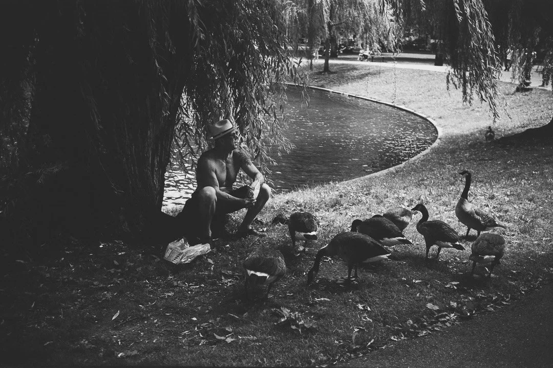 "The Gathering" by Jean Marie Detcher
