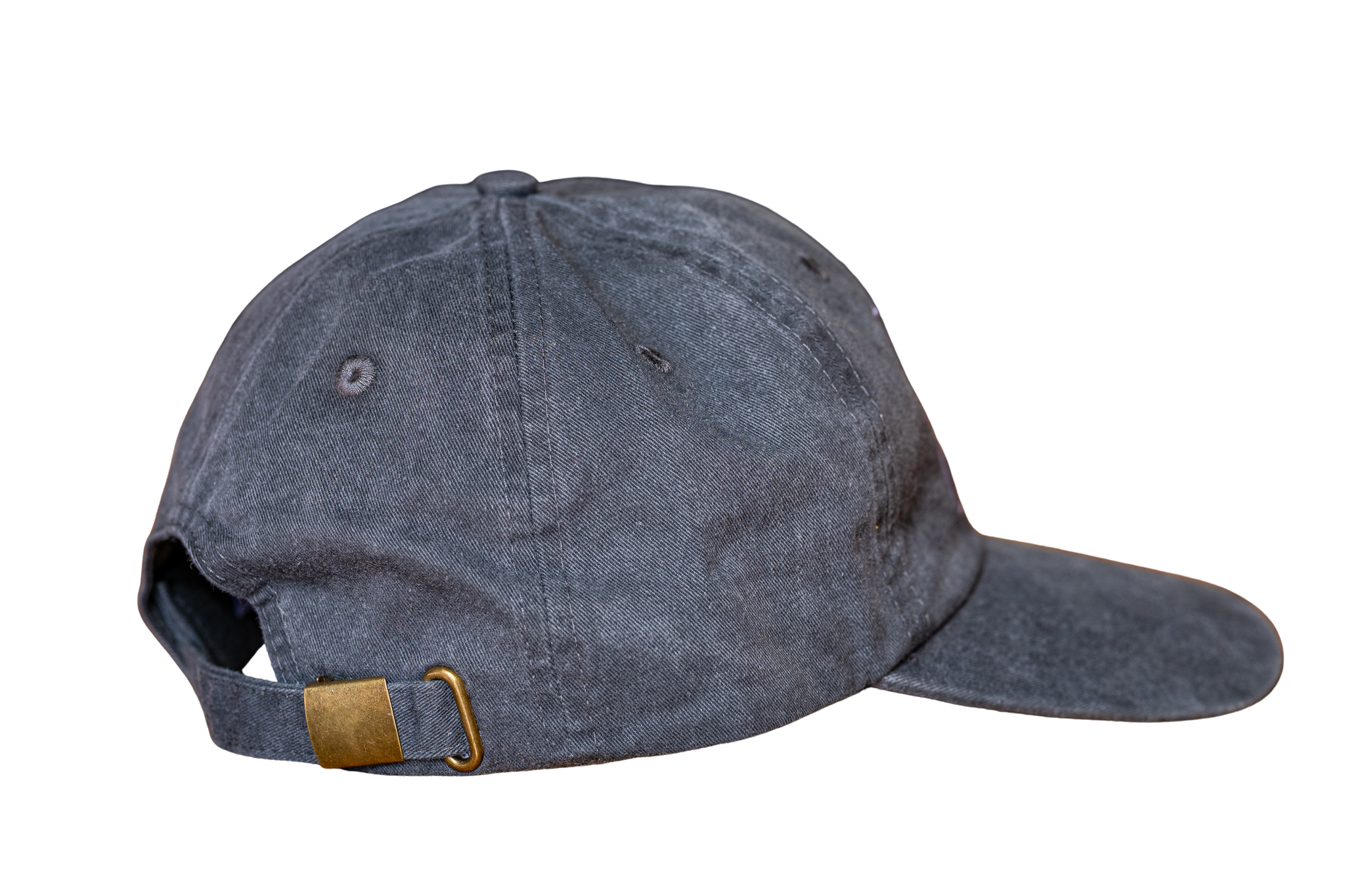 New LSI Cap 2 - 2026 (BG Removed).png