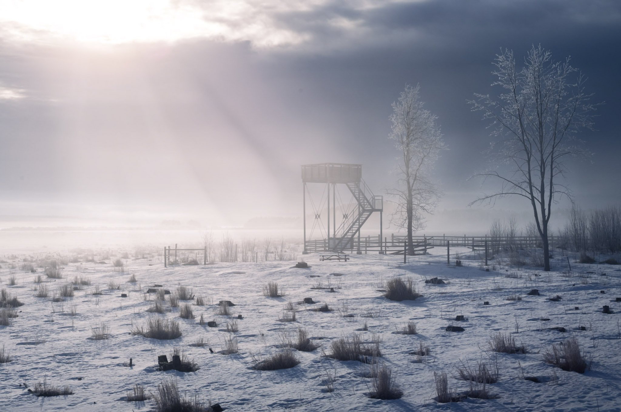 "Winter Rays" by Peter Lundberg 