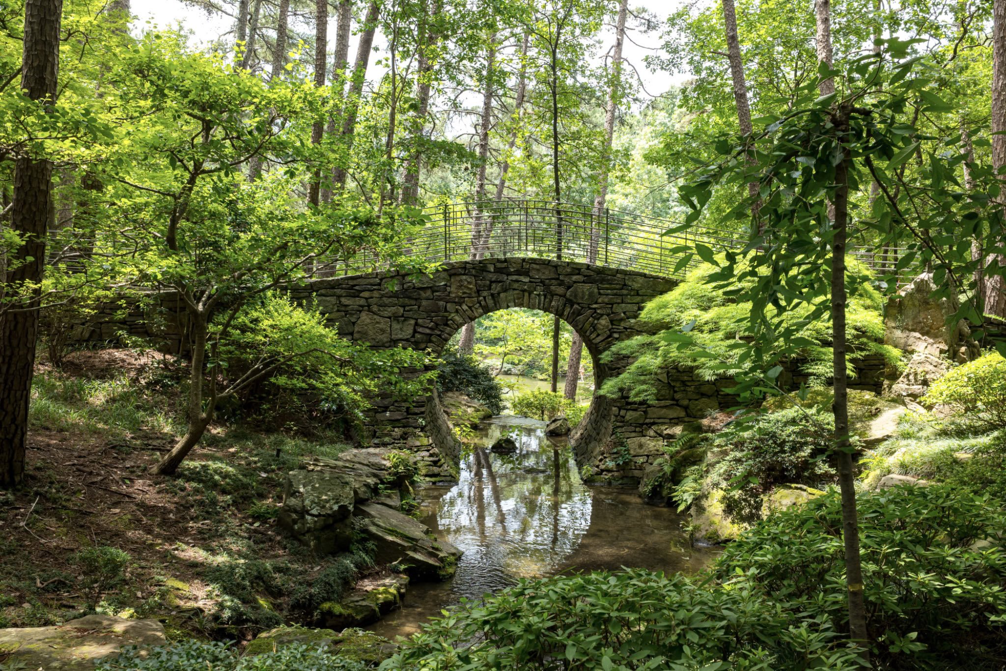 "Garvan Woodland Gardens Hot Spring" by Jay O'Connor 