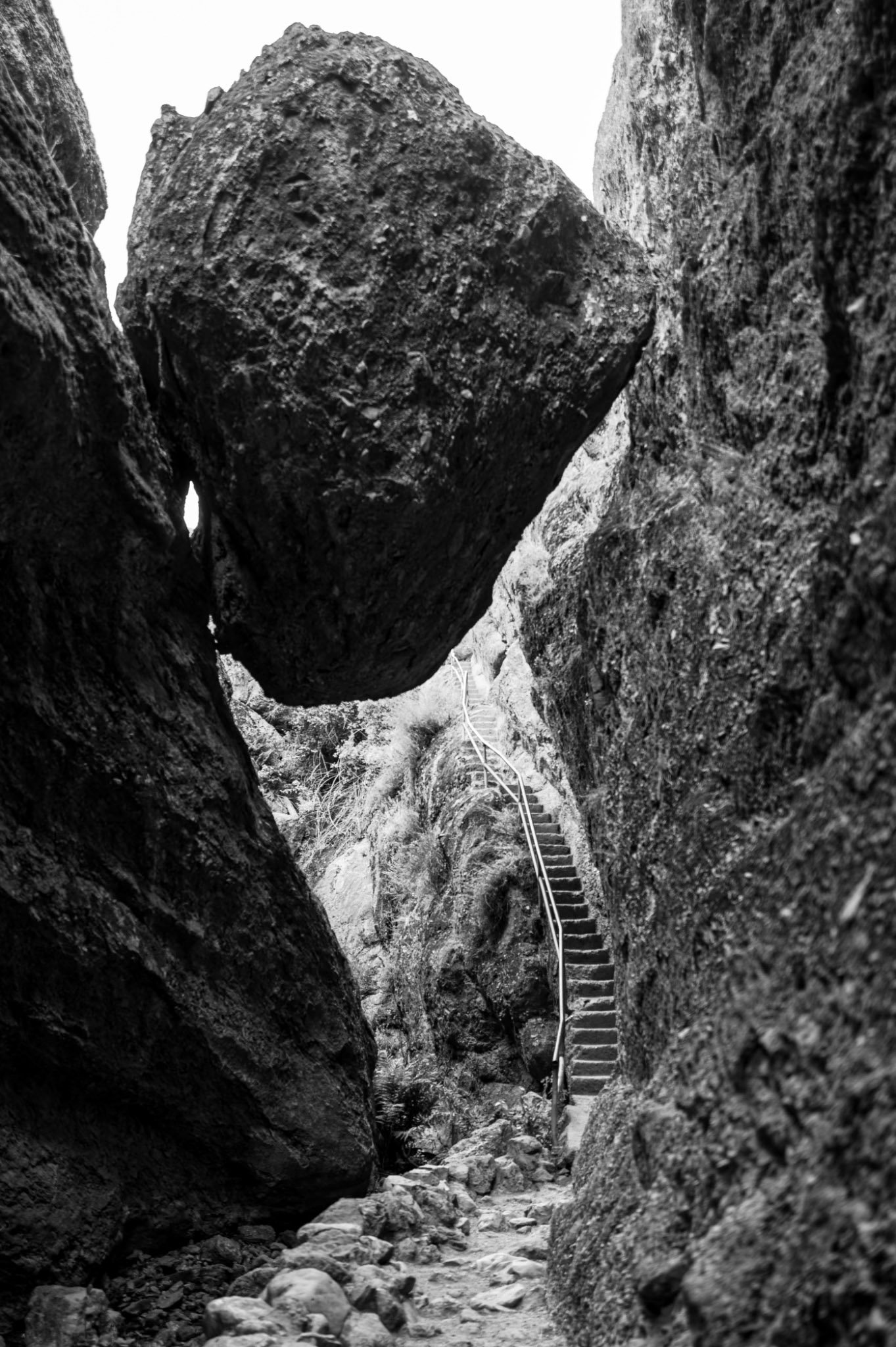 "Precarious" by Seve Baranski 
