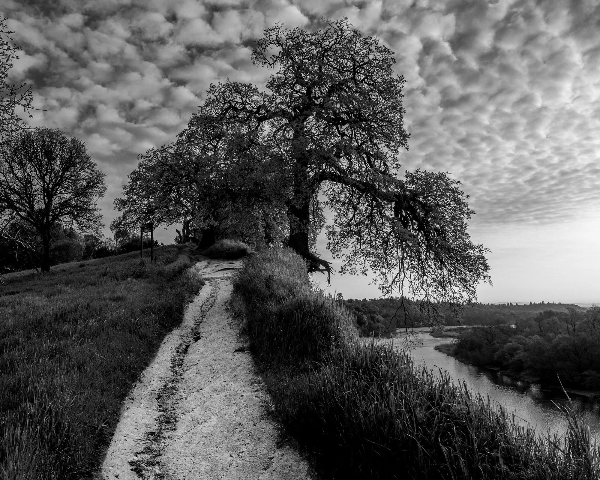 "Overlook" by David Mullin