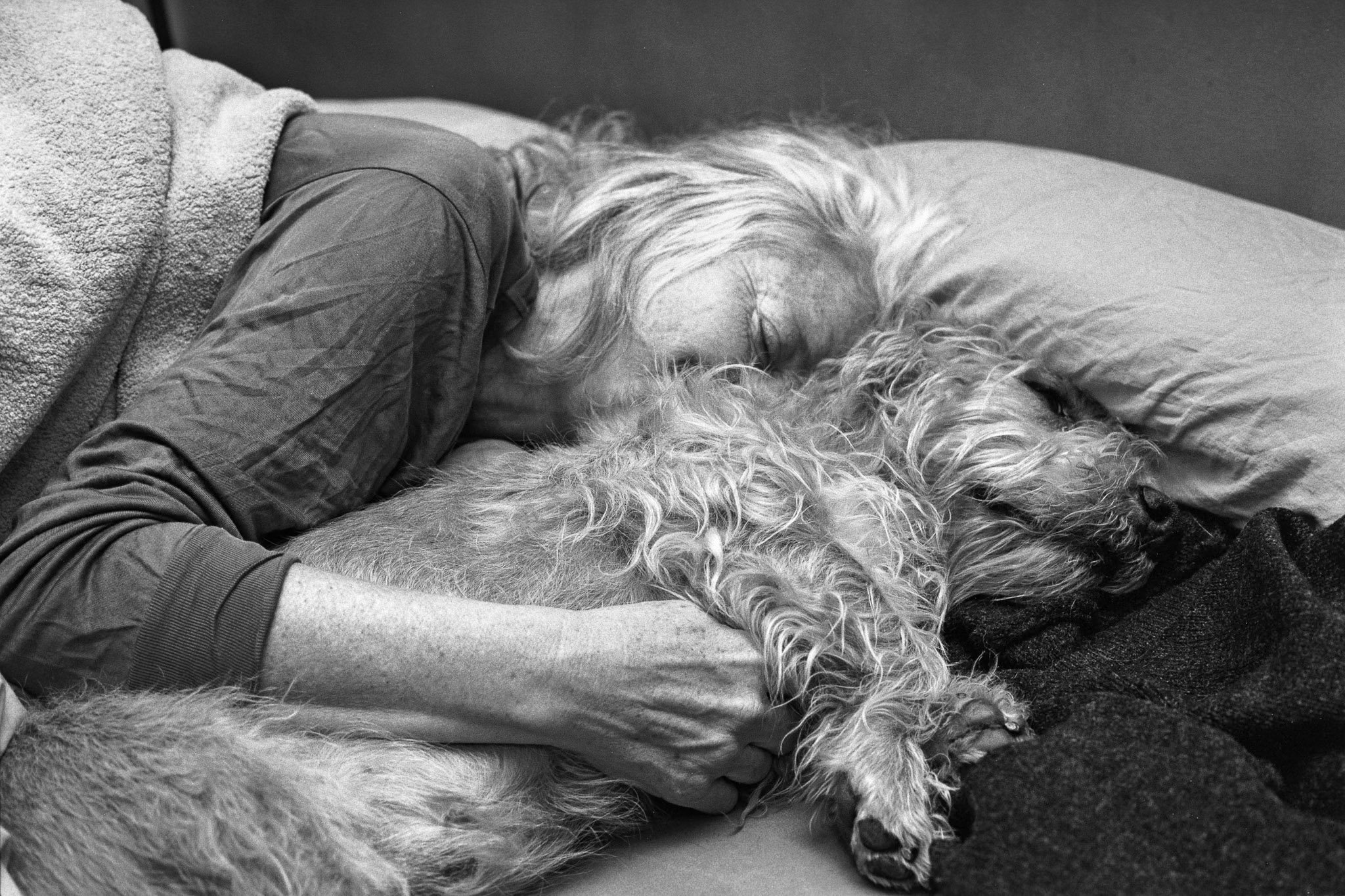 "Napping" by Ed Rudolph