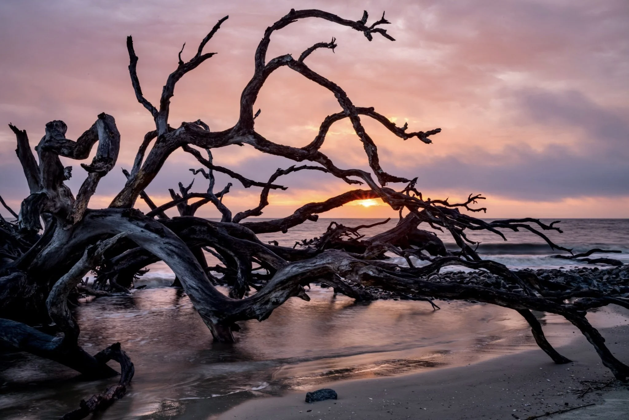 "Sunrise on Jekyll Island" by Dennis Stierer