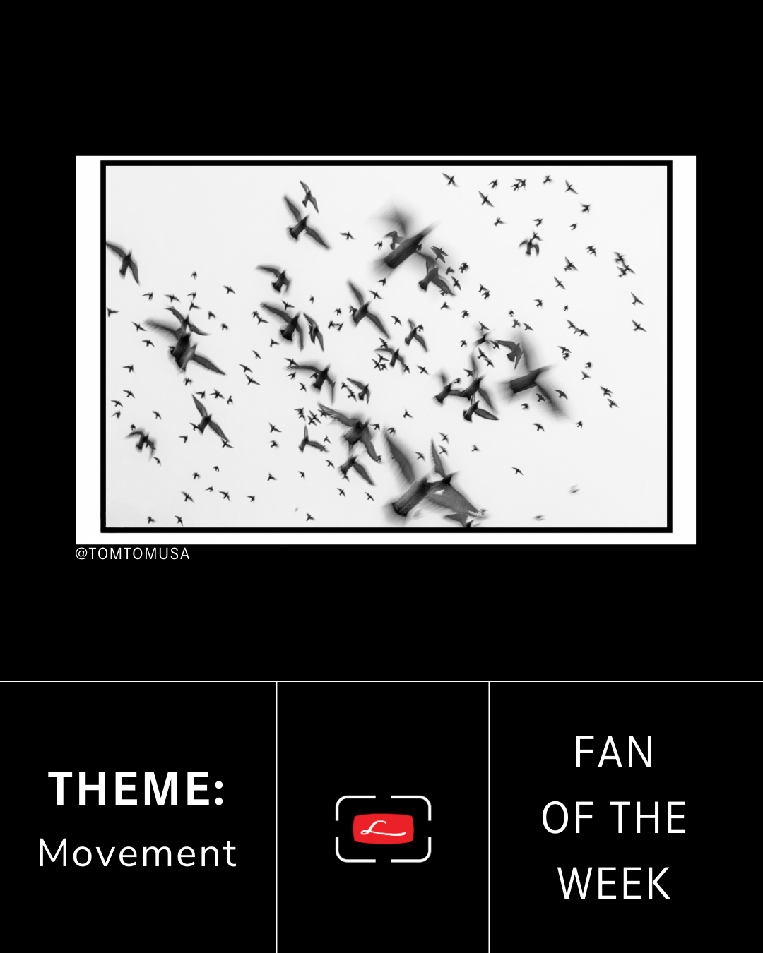 January 20, 2026 | Thomas 