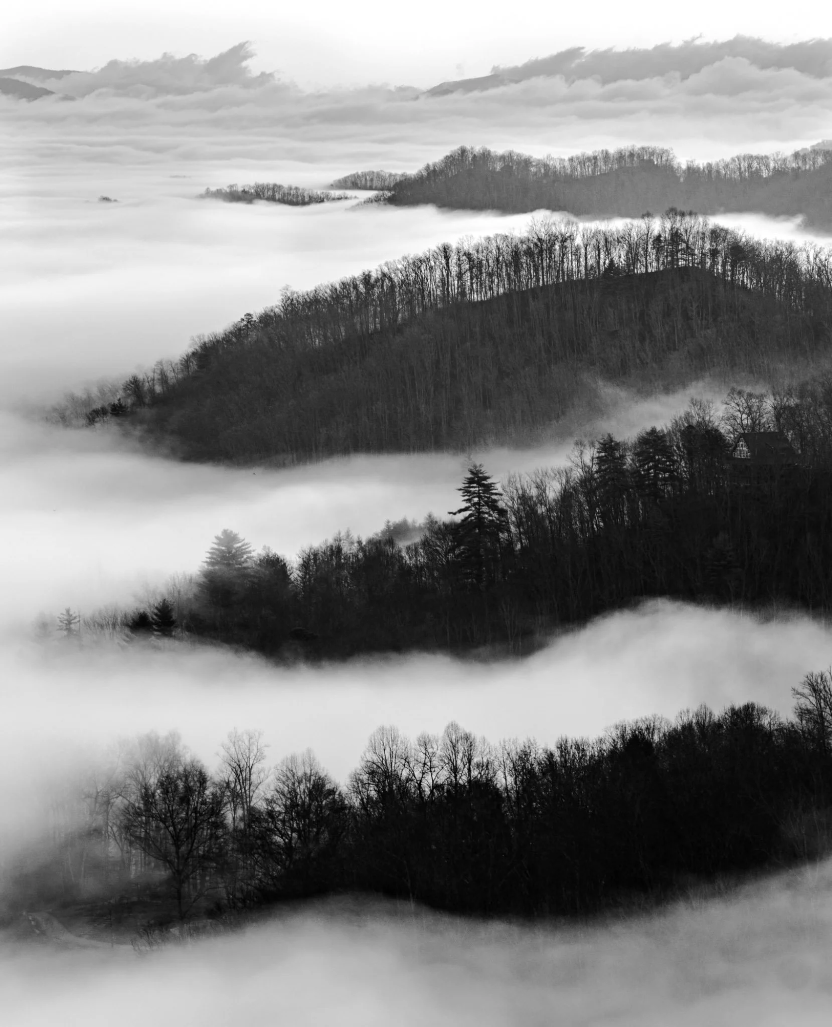 "Foggy Morning" by Baxter Gillespie