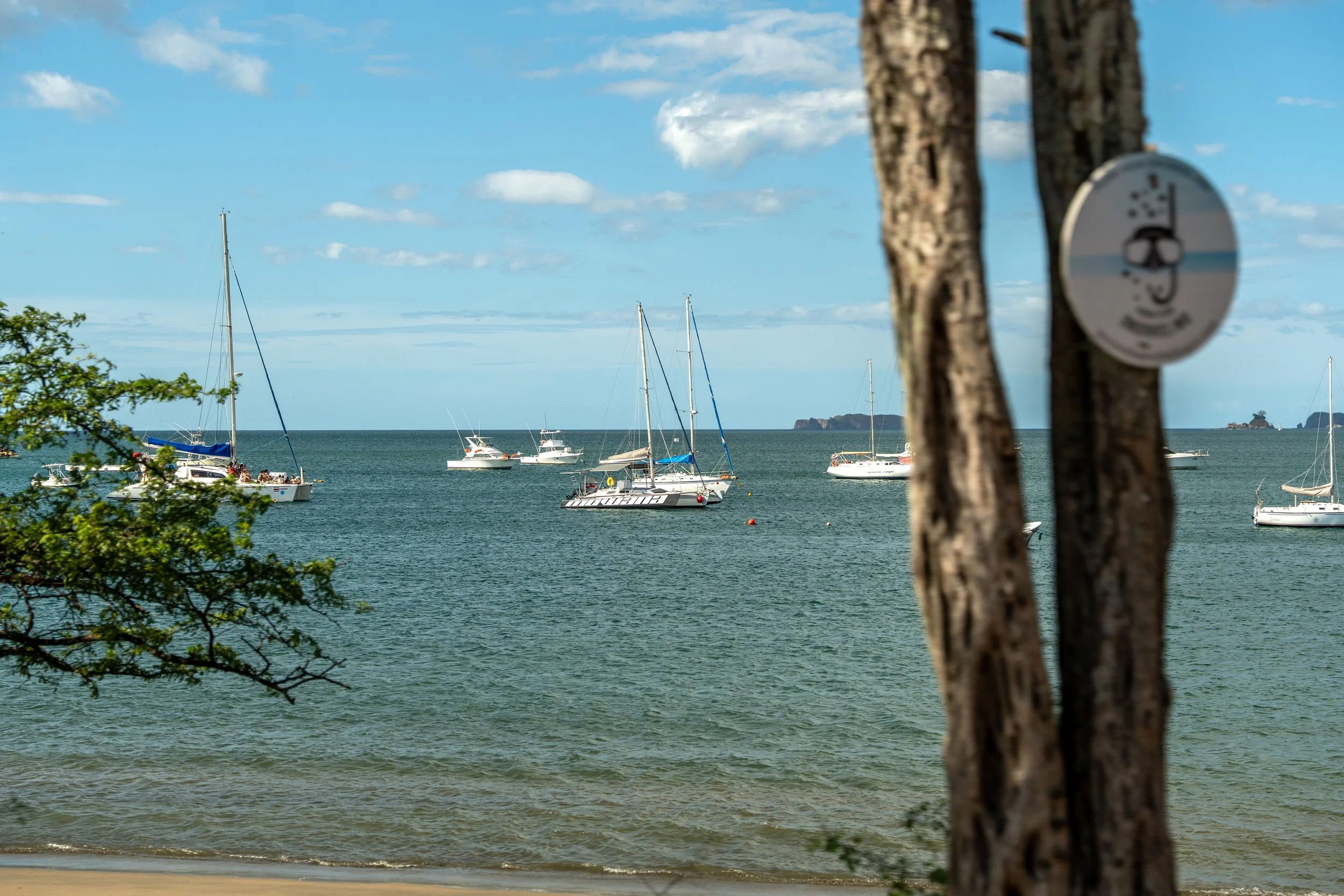 View of sailboats and yachts docked in a harbor seen through two tree trunks on a sunny day with a partly cloudy sky.