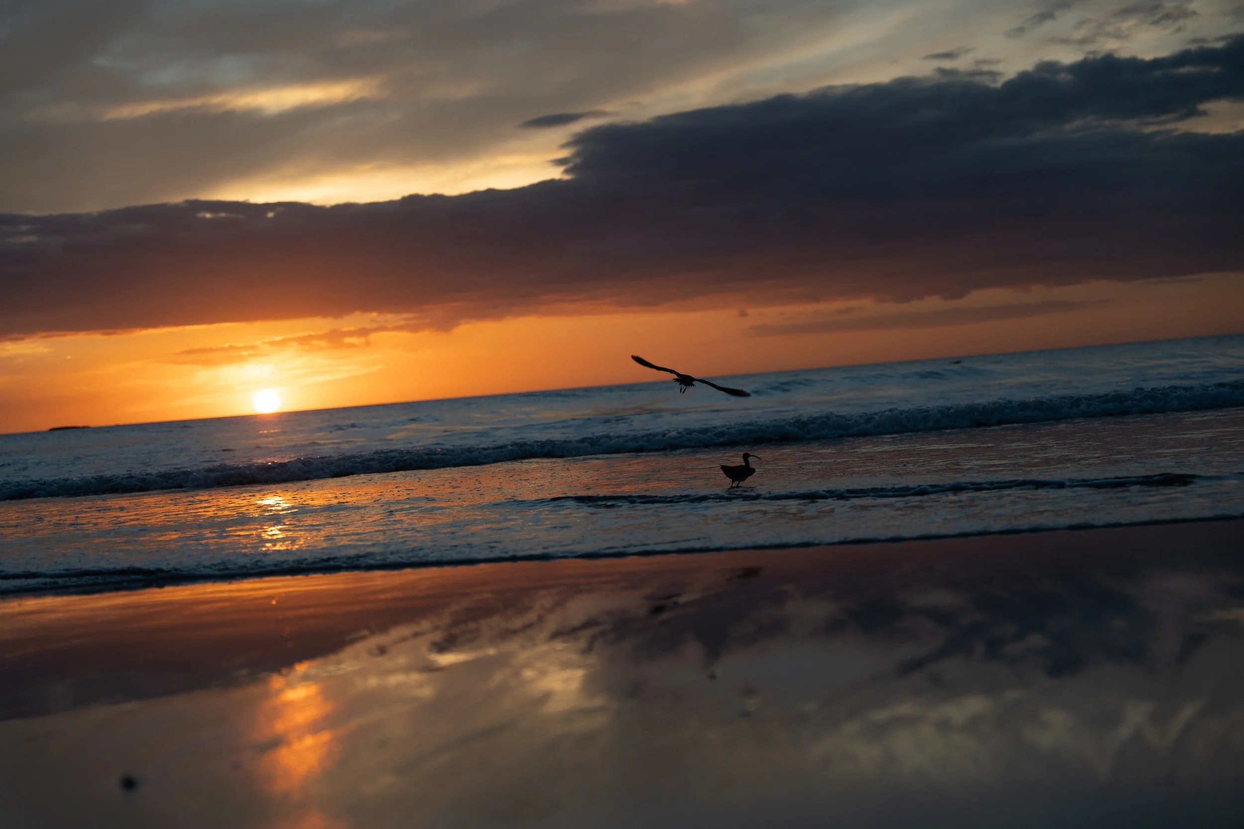 Sunset over the ocean with a cloudy sky and a bird flying close to the water surface.
