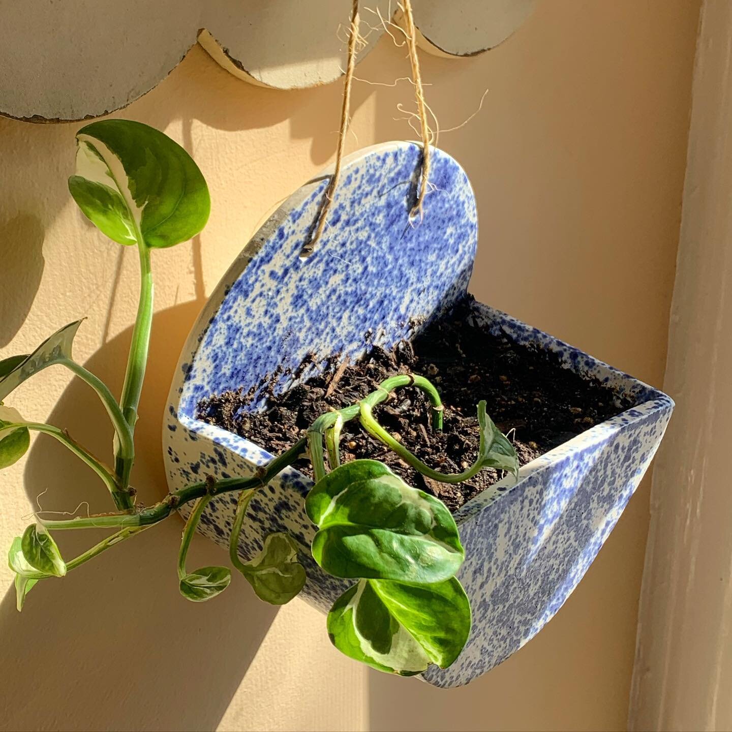 🪴🌱👩&zwj;🌾
.
.
#wallplanter #wallplants #ceramics #handmade #indoorplants #indoorgarden #propagation